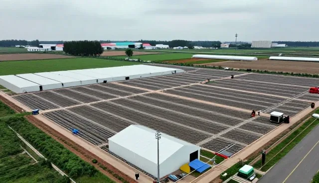 优化生产流程 提升设备性能的关键因素